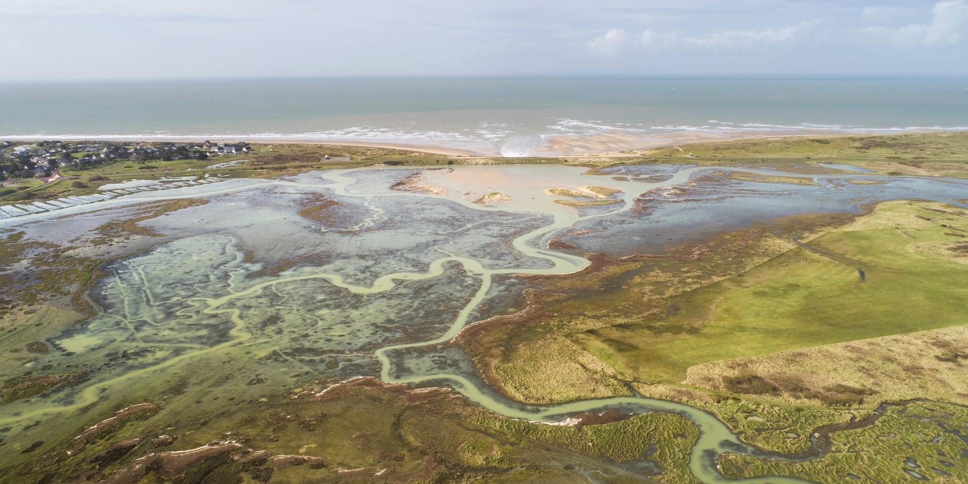 Aerial view of a coastal marsh with water pools and winding canals leading to the ocean