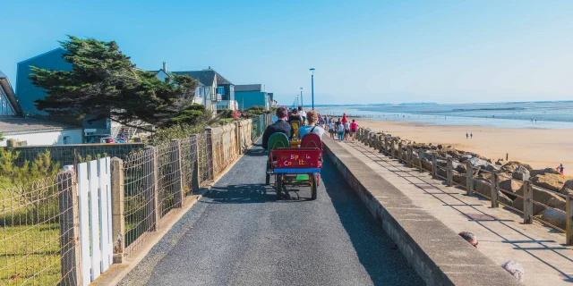 A horse-drawn carriage on a promenade along the beach
