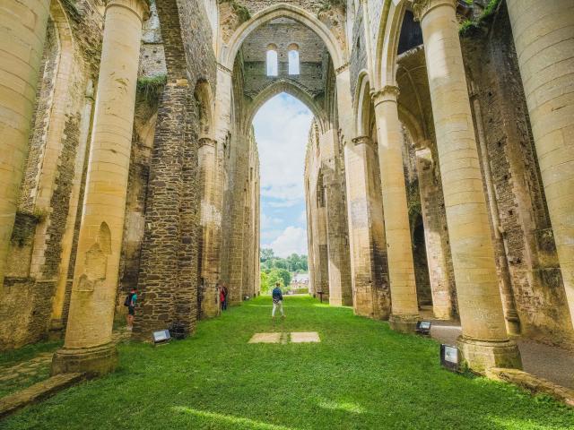 Intérieur des ruines de l'abbaye de Hambye avec des colonnes et de la verdure
