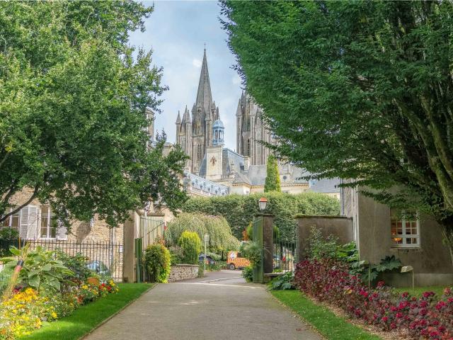 View of a Gothic cathedral between green trees