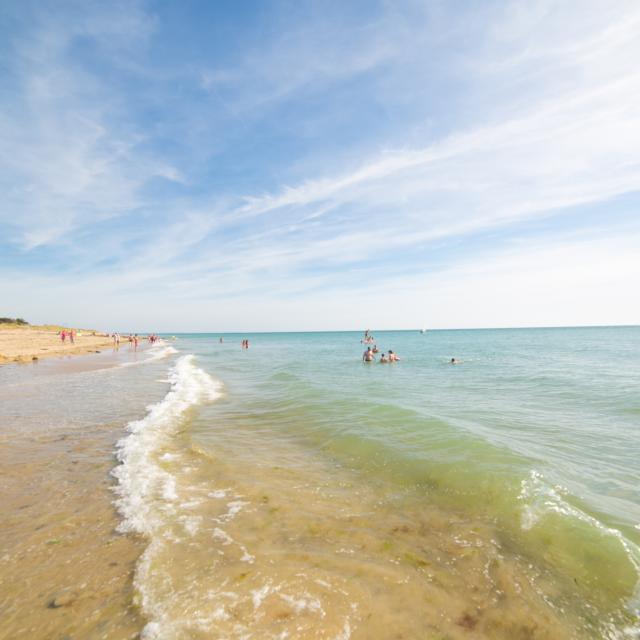 Personnes se baignant et se relaxant sur une plage de sable