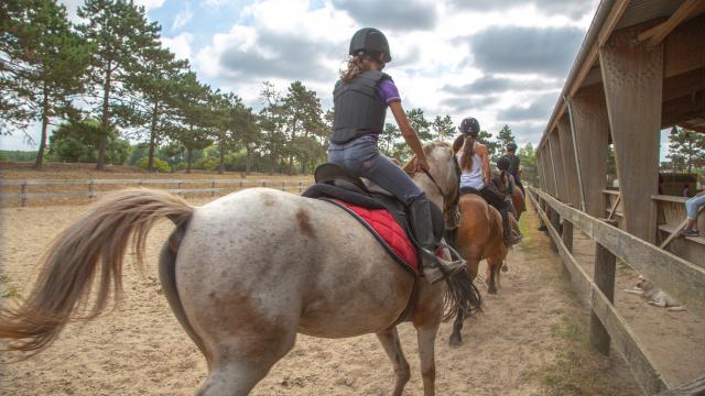 Une personne chevauche un cheval dans un manège en plein air