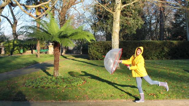 Femme en imperméable jaune tenant un parapluie transparent dans un parc
