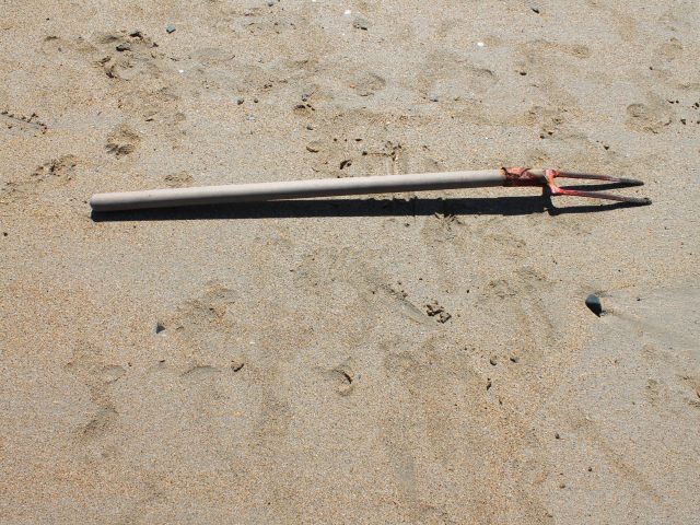 Wooden magic wand with a red ribbon