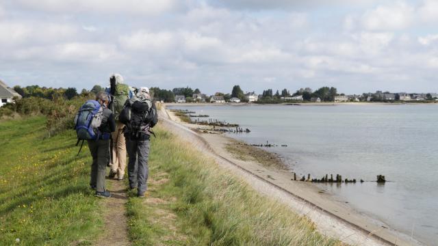 Three hikers with backpacks looking at a map