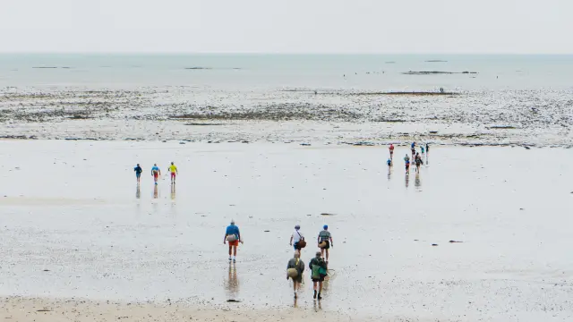 Groupe de personnes partant à la pêche a pied à Agon Coutainville
