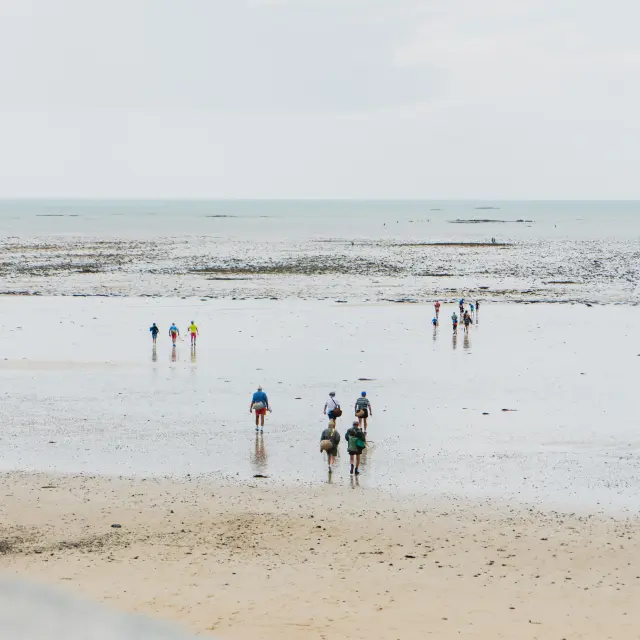 Groupe de personnes partant à la pêche a pied à Agon Coutainville