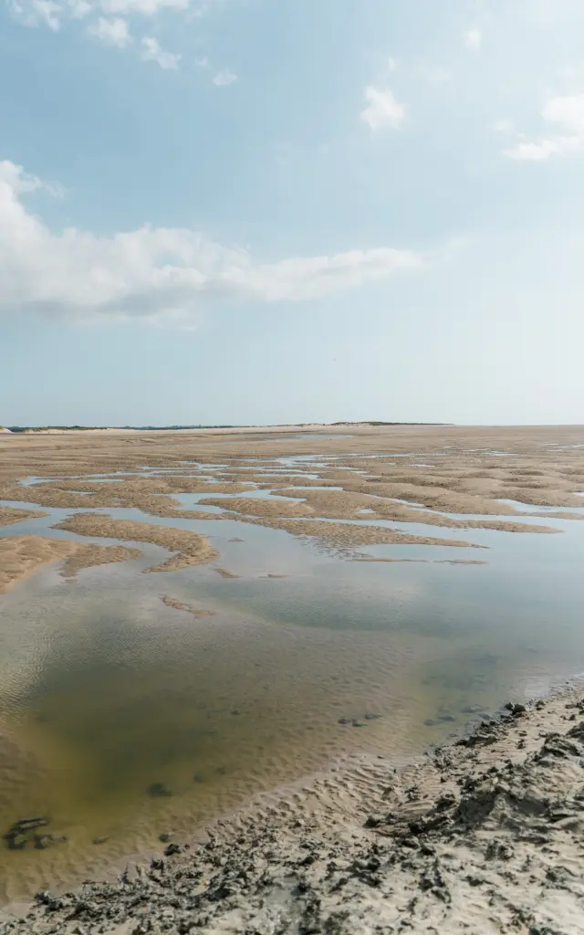 Marsch mit Wasserpfützen und Vegetation