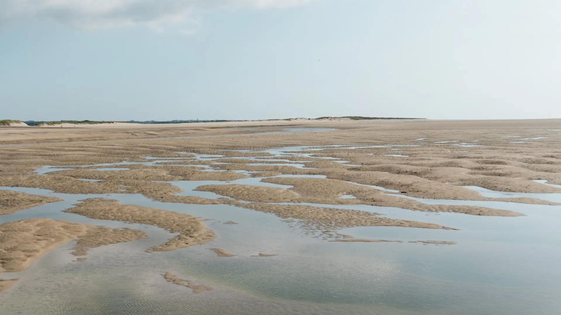 Marsh with water pools and vegetation