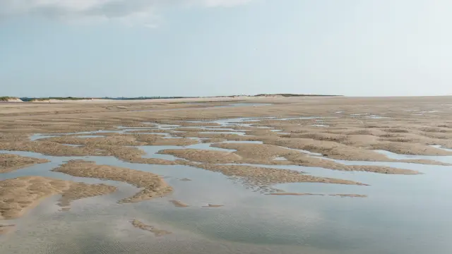 Marsch mit Wasserpfützen und Vegetation
