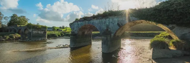 Stone arch bridge over a river with surrounding vegetation