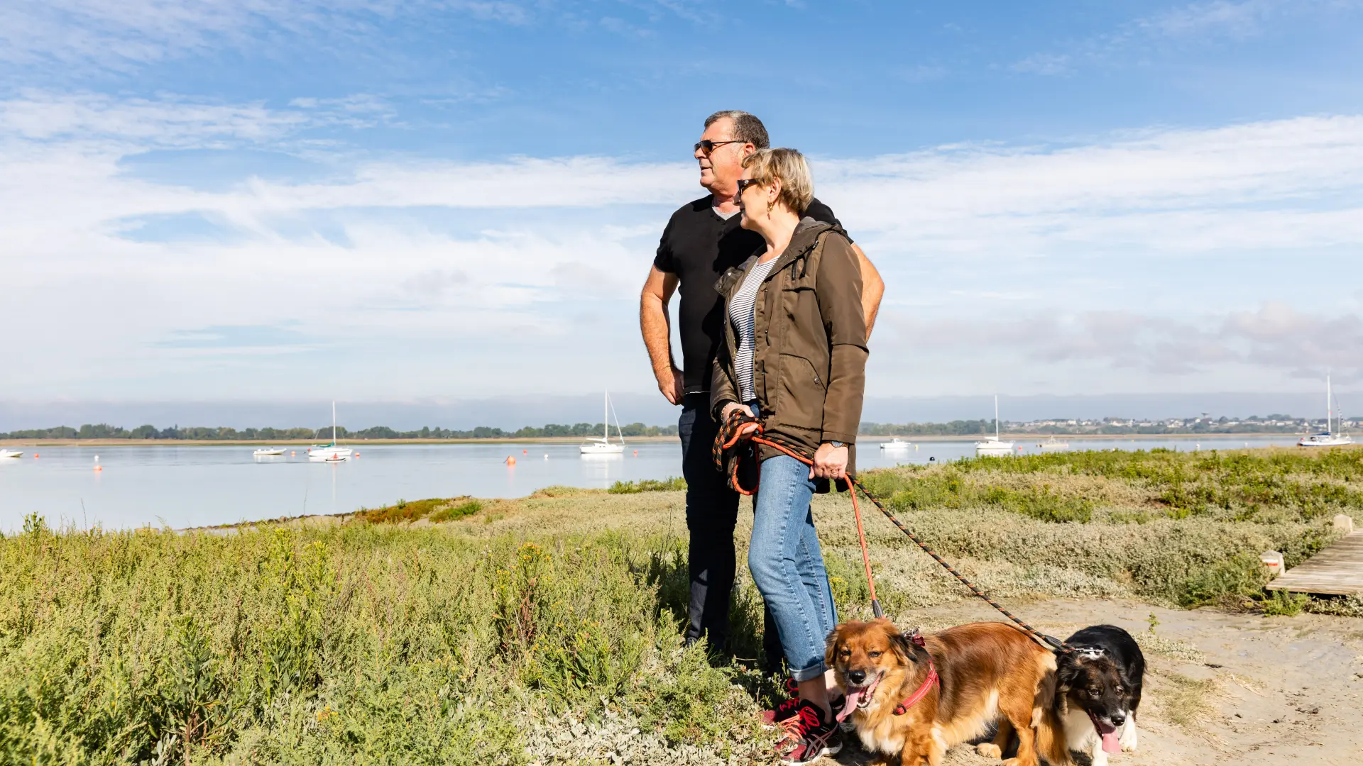 Zwei Personen spazieren mit zwei Hunden am Wasser
