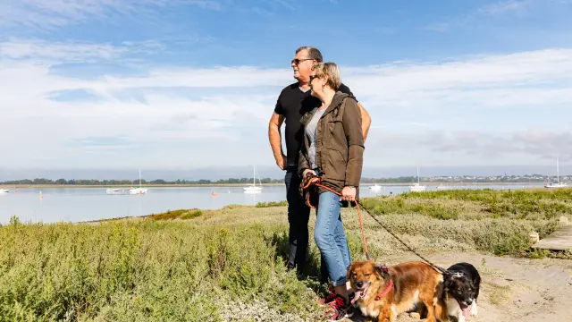 Zwei Personen spazieren mit zwei Hunden am Wasser