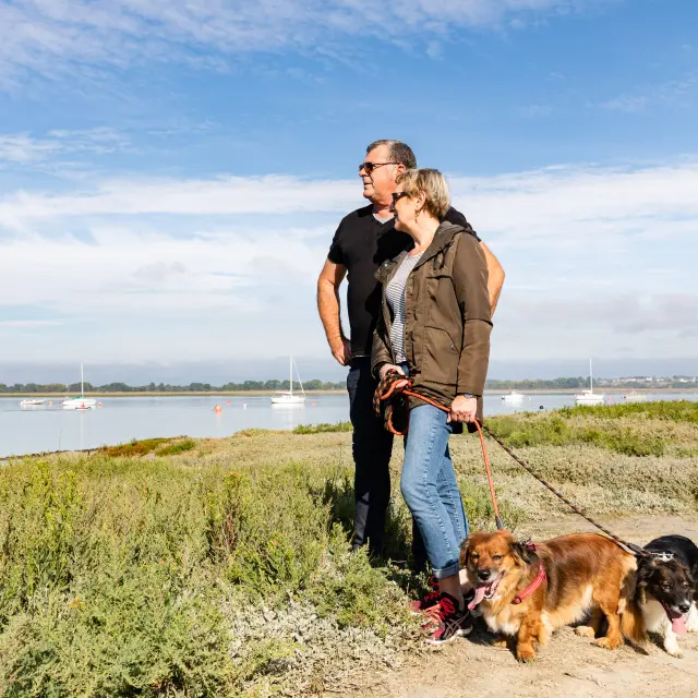 Two people walking two dogs by the water