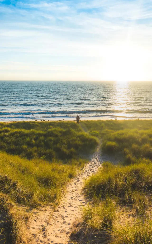 Person geht auf einem Sandweg zum Meer beim Sonnenuntergang