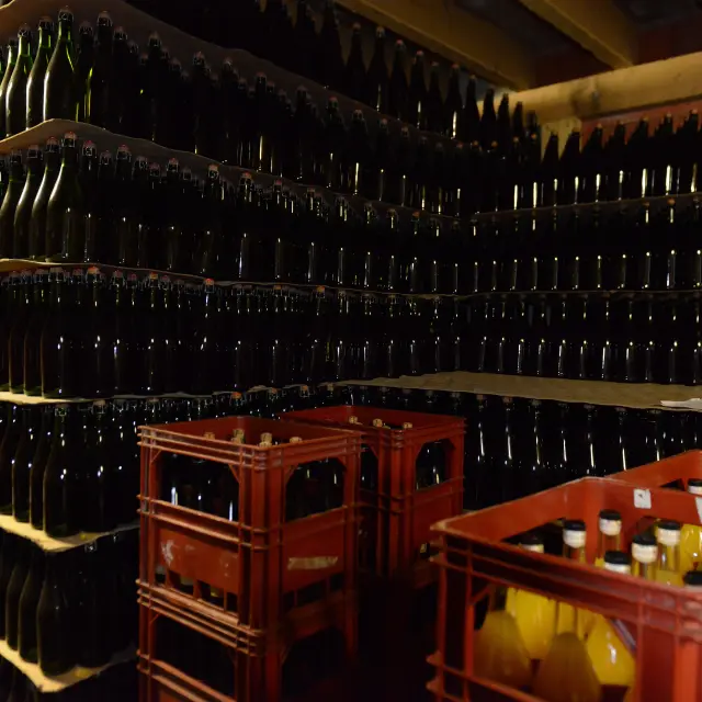 Shelves filled with bottles of wine and crates of bottles