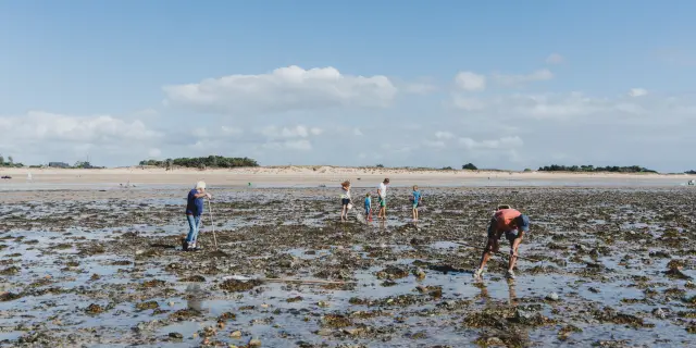 Pêche à pied à Agon Coutainville