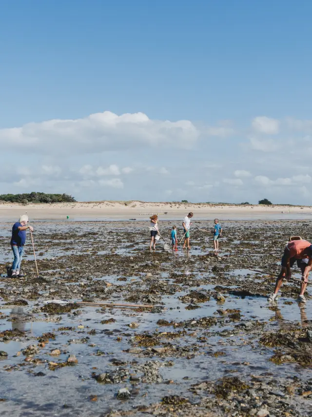 Several people walking and searching for shells on a muddy beach