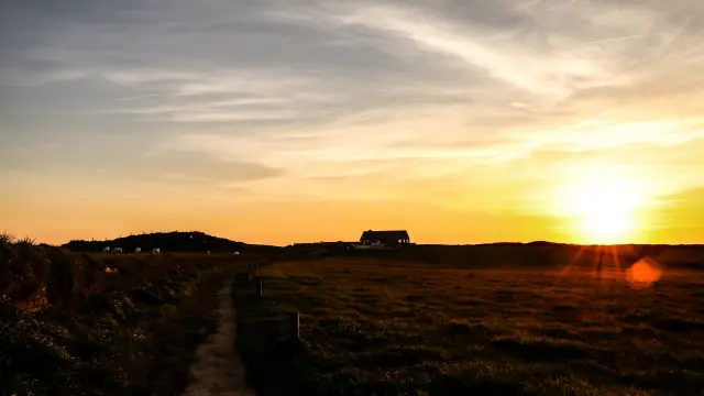Ein Feldweg durchquert ein Feld beim Sonnenuntergang
