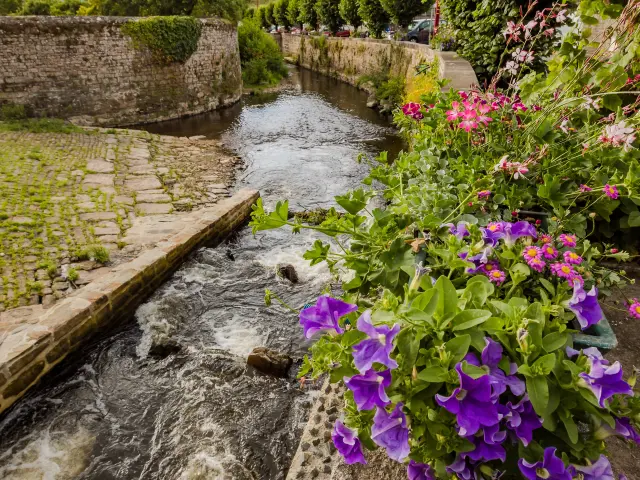 Ein friedlicher Fluss mit bunten Blumen am Rand