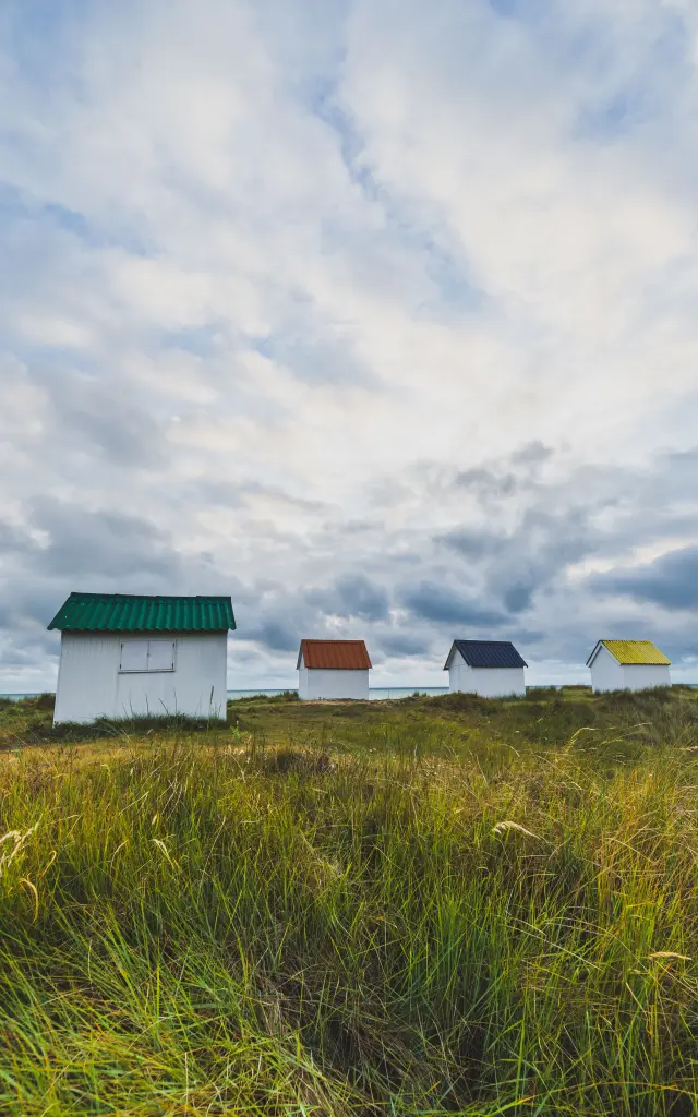 Four colorful small houses in a grassy field under a cloudy sky