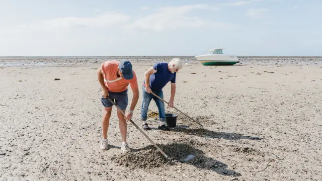 Deux personnes ramassent des coquillages sur une plage