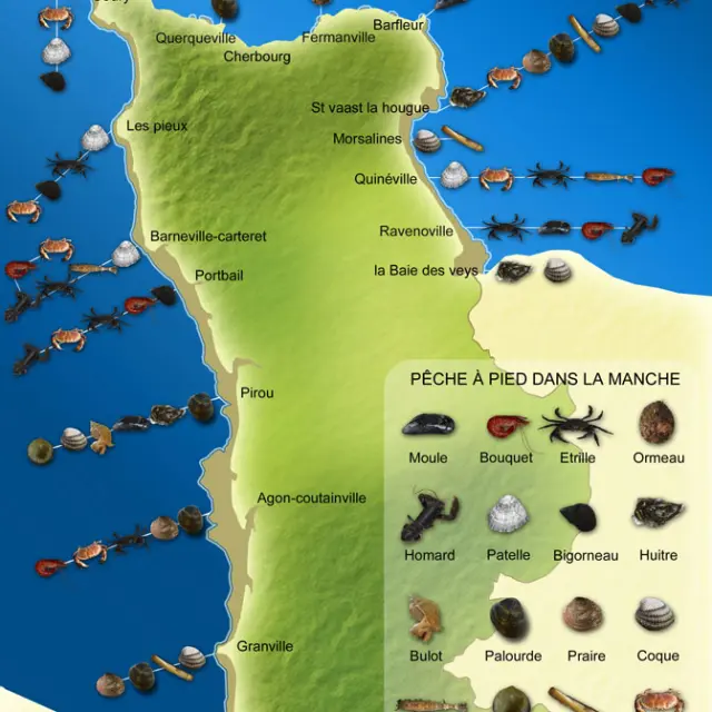 Carte des fruits de mer disponibles le long de la côte de Normandie