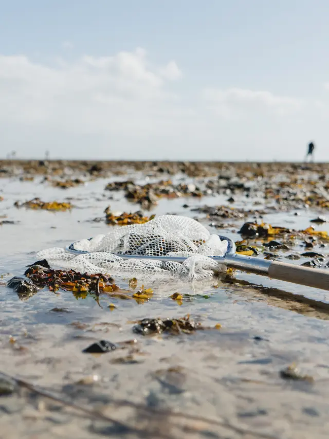 Abfall und verlassenes Fischernetz am Strand