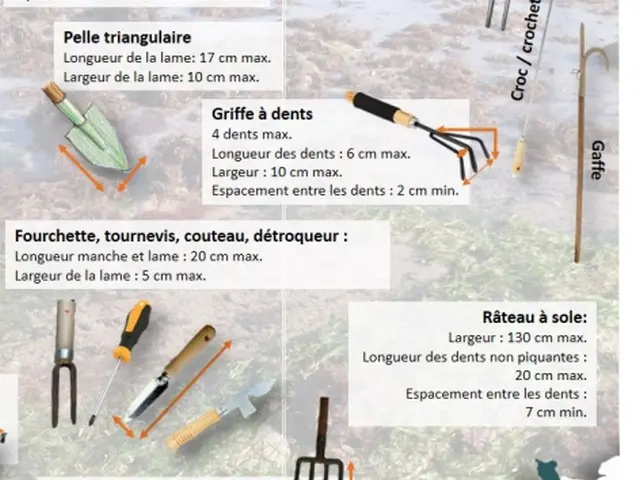 Various gardening tools with their maximum allowed dimensions