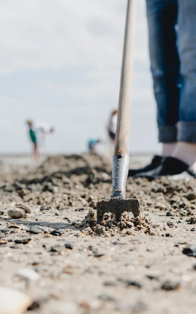 Pêche à pied