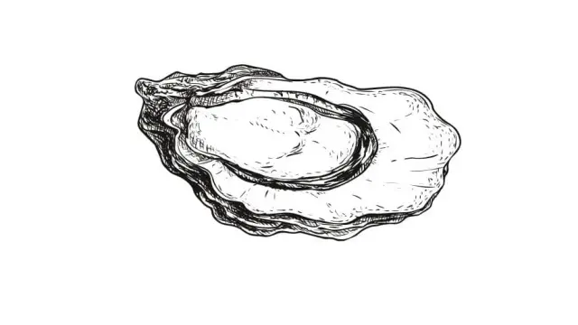 Huître