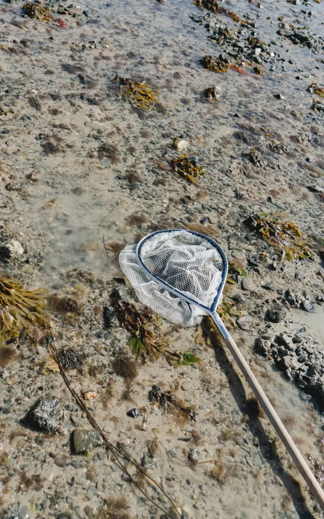 Un filet de pêche posé sur une plage à Agon Coutainville