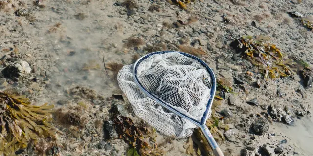 Un filet de pêche posé sur une plage à Agon Coutainville