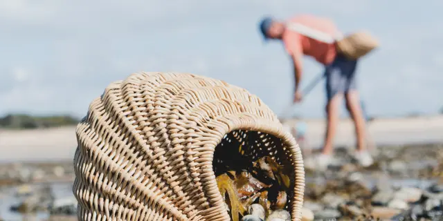 Un panier en osier rempli de coquillages sur une plage à Agon Coutainville
