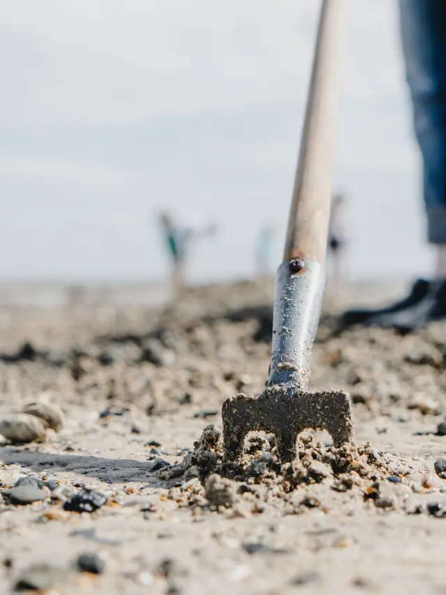 Bagger, der im Sand des Strandes gräbt