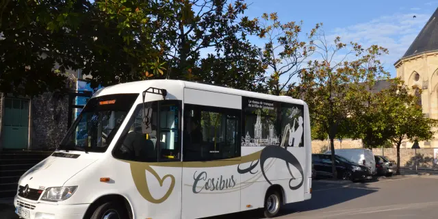 A white city bus with black and gold designs is driving down a tree-lined street.