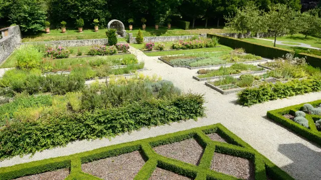 Medieval garden with plants and aromatic herbs