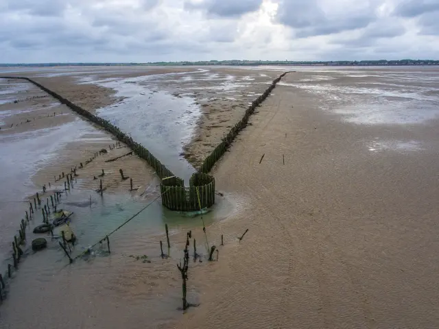 Wooden structure in a bay with wooden posts and shallow water