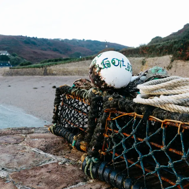 Fishing net with a white buoy marked with the text 'GOLA'