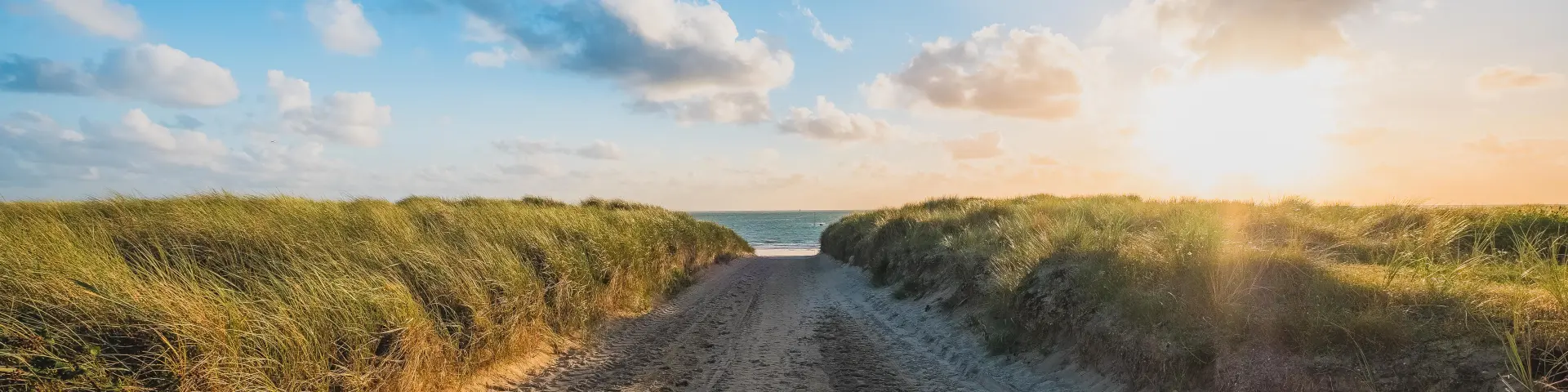 Sand path leading to the ocean with grass on both sides