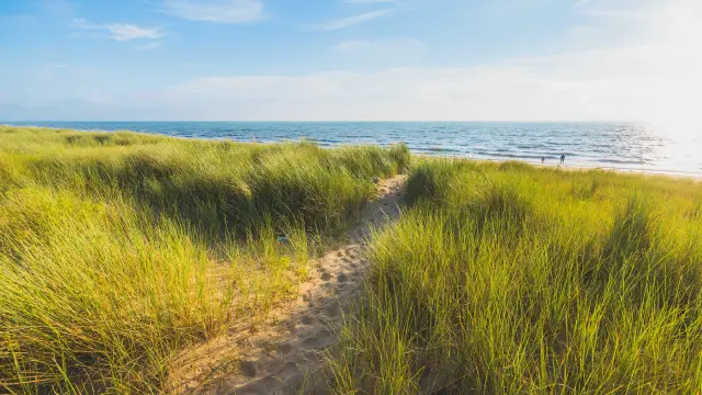 Sand path leading to a beach with green grass on both sides