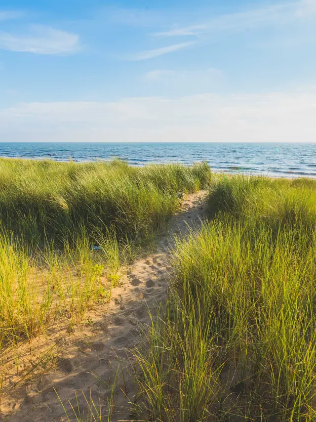 Sandweg, der zu einem Strand mit grünem Gras auf beiden Seiten führt