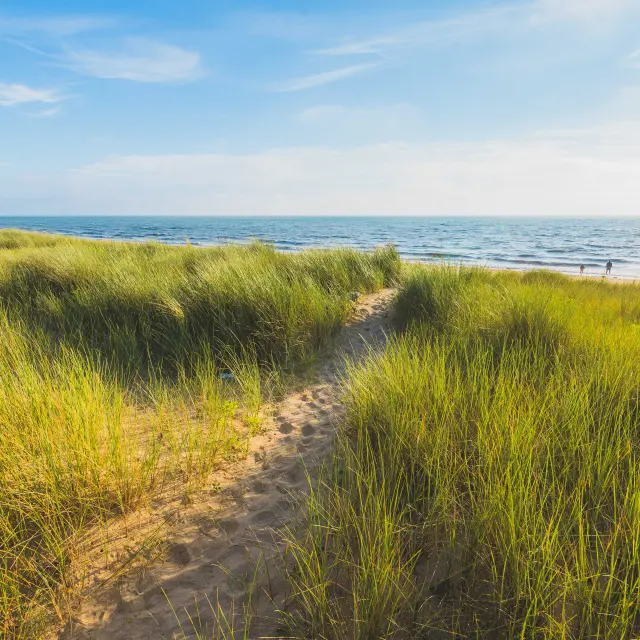 Sandweg, der zu einem Strand mit grünem Gras auf beiden Seiten führt