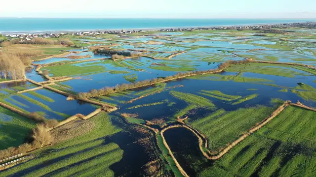 Flooded rice fields with winding paths and calm water areas