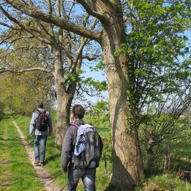 Randonneurs dans les marais du Cotentin