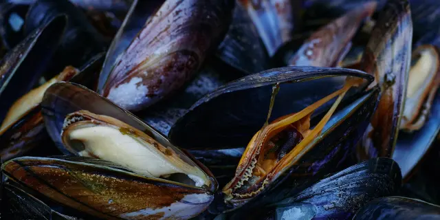 Moules fraîches empilées sur une surface sombre