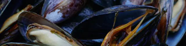 Moules fraîches empilées sur une surface sombre