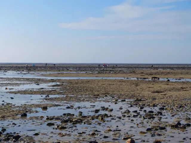 Rocky beach with people walking in the distance under a blue sky