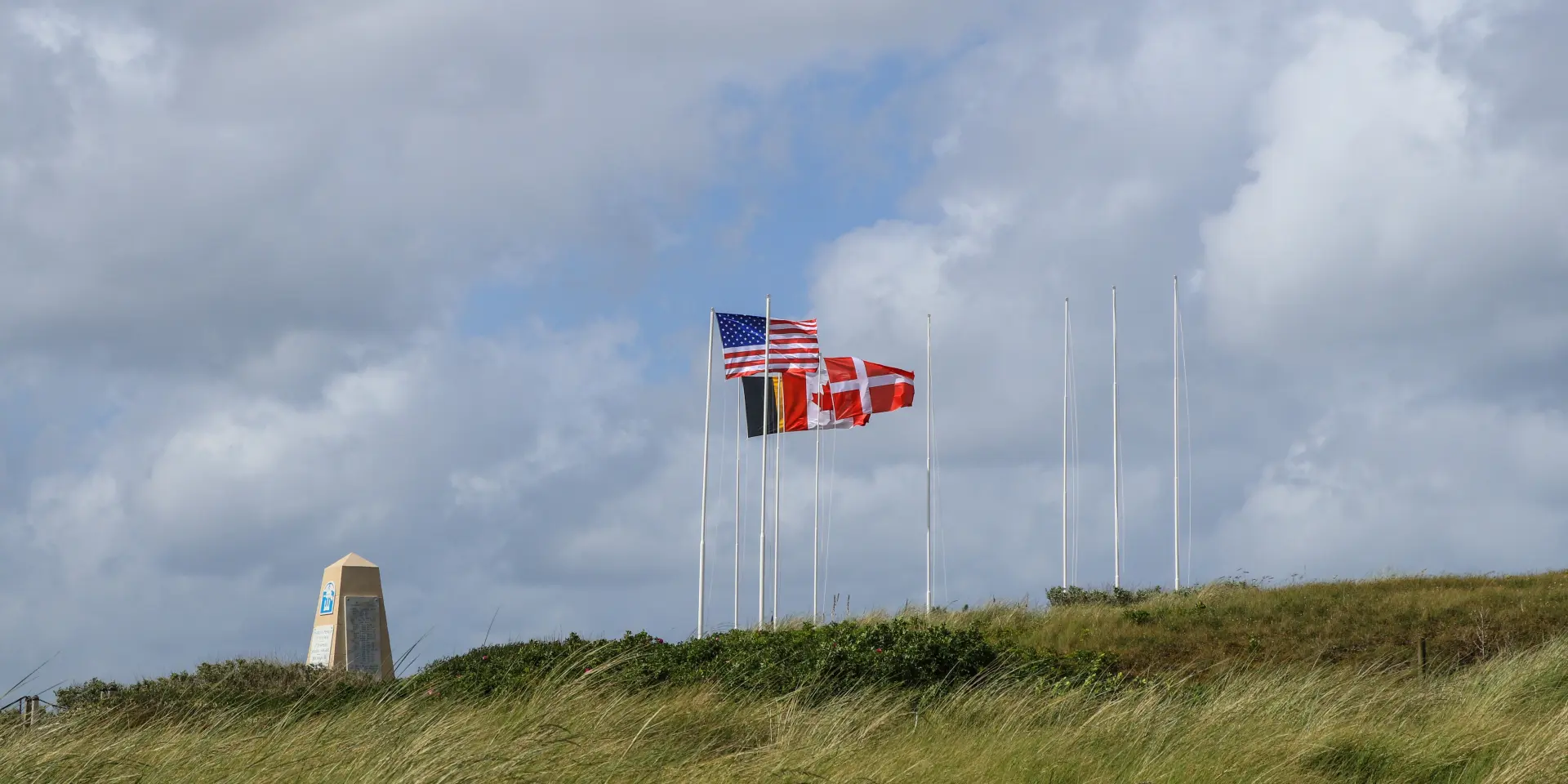 Three flags waving on a grassy area with a cloudy sky in the background