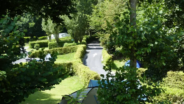 A winding path surrounded by trees and lush vegetation